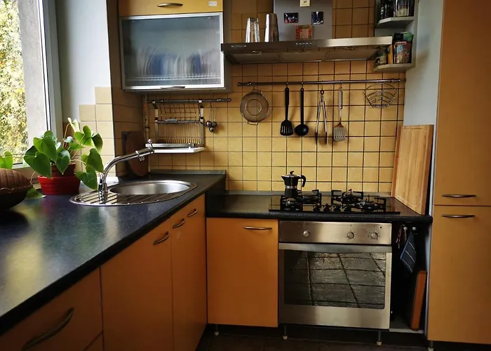 Spacious With Free Parking In Kaunas